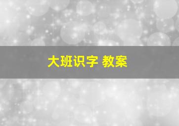 大班识字 教案